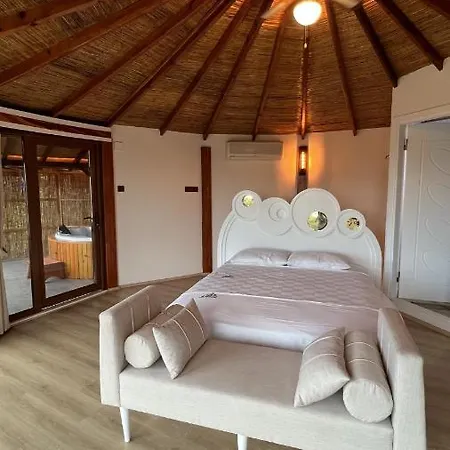 Villa With Pool Backyard And Jacuzzi In Sapanca